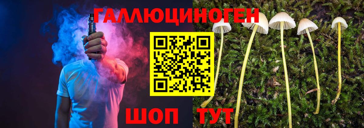 Галлюциногенные грибы Magic Shrooms Ногинск